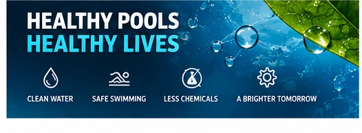 Green pool clean-up and water recovery service in Gqeberha and Port Elizabeth